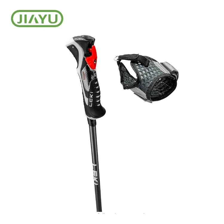 I-carbon silk iprinta i-ski pole